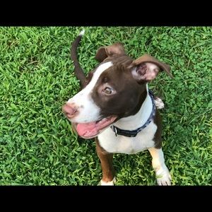 Meet your Posher, Will